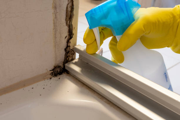 Rutherford College, NC Mold Remediation Company