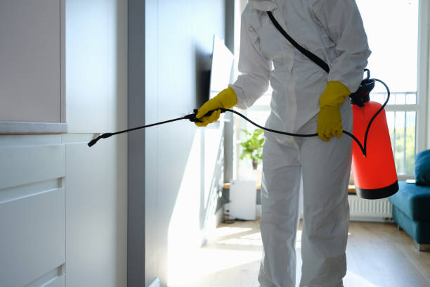 Best DIY Mold Remediation Support Services in Rutherford College, NC