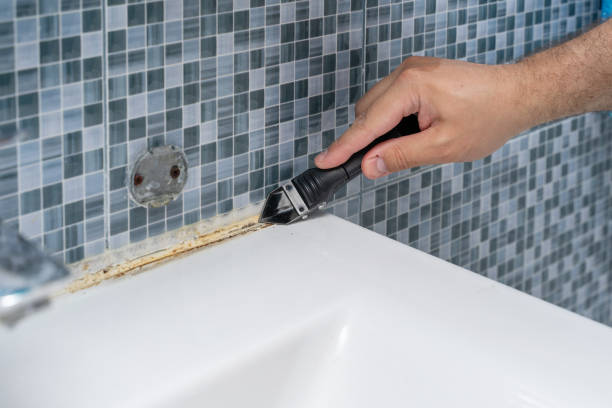 Best Bathroom Mold Remediation in Rutherford College, NC